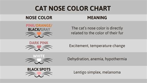 cat nose color chart